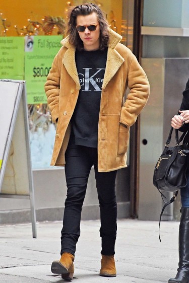 Harry-Styles-Calvin-Klein-Sweatshirt-Picture-800x1200